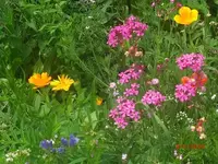 CIMG2719.webp