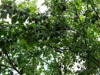 SDC17898_Bildgröße ändern.webp