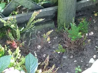 DSCF4181.webp