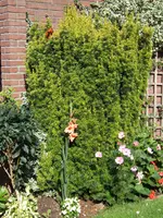 DSCF4182.webp
