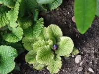 DSCF4192.webp