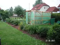 Garten 2011 027.webp