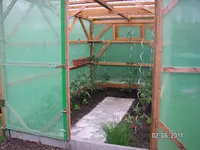 Garten 2011 013.webp
