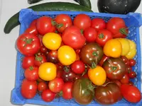 DSCN0922.webp