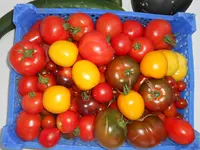 DSCN0923.webp