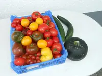 DSCN0924.webp