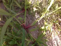 230720115438.webp