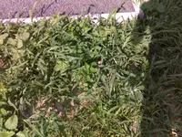 230720115439.webp