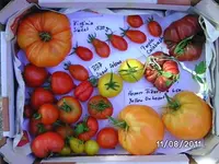 BILD0143.webp