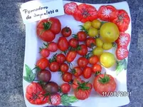 BILD0144.webp
