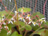 DSCN0731.webp