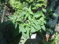 11082011027.webp