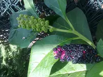 11082011031.webp