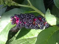 11082011032.webp