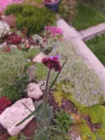 blu3.webp