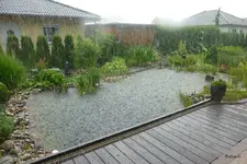 P1060114.webp