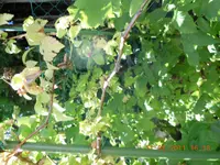 DSCN0964.webp