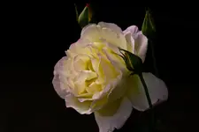 11.8.11 (68 von 97).webp