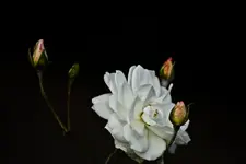 11.8.11 (62 von 97).webp