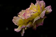 11.8.11 (70 von 97).webp