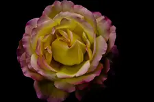 11.8.11 (72 von 97).webp