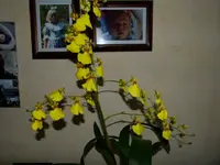 P1000819.webp