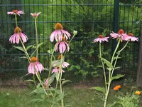 IMG_7024.webp