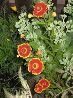 IMG_7026.webp