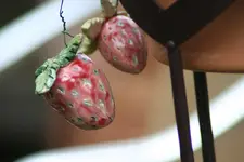 Erdbeeren kl.webp