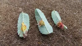 DSCF8803.webp