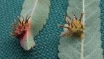 DSCF8813.jpg
