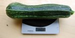 zucchini_12_8_II.jpg