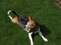 DSCF4200.webp