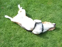 DSCF4204.webp