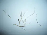 comp_rasen12.8 001.webp comp_rasen12.8 001.webp