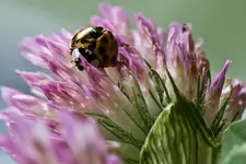 18.8.11 (19 von 21).webp