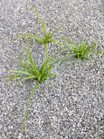 DSCF1124.webp