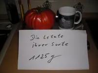 Die letzte ihrer Sorte 001.webp