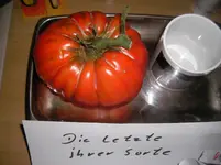 Die letzte ihrer Sorte 002.webp
