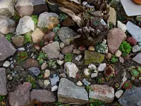 Wurzenbeet.webp