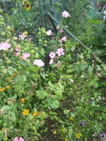 IMG_5821.webp