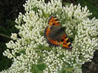 IMG_6484_1067x800.webp