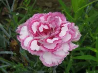 IMG_6477_1067x800.webp
