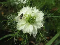 IMG_6460_1067x800.webp