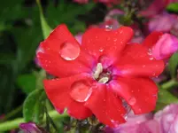 IMG_6472_1067x800.webp