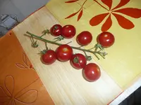 P1040280.webp