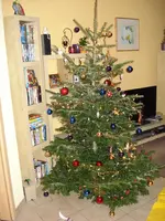 Tannebaum a la Kiki und Miles.webp