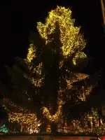 (24)_Weihnachtsmarkt_Goslar_03.12._600x800.webp