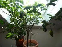 Foto-2.webp