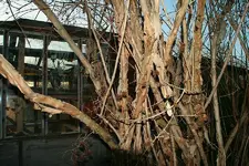IMG_6692low.webp
